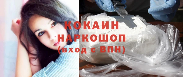 стаф Аркадак