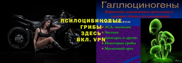 стаф Аркадак