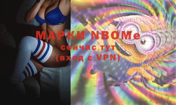 стаф Аркадак