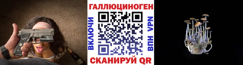 Купить  Баксан  Галлюциногенные грибы прущие грибы 